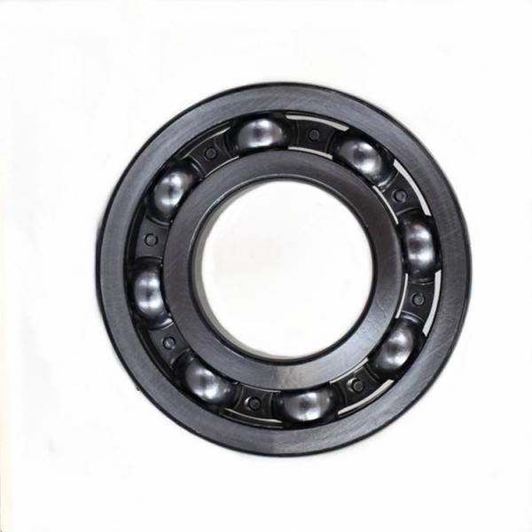 Bearing Catalogue Deep Groove Ball Bearing 6000 6001 6002 6003 6004 6005 6006 6007 6008 6009 6010 6021 6022 6023 6024 Open Z Zz 2z 2RS RS for Machinery #1 image