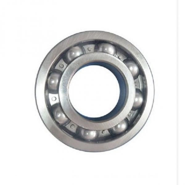 SKF Agricultural Machinery Deep Groove Ball Bearings 6205-2RS 6206-2RS 6207-2RS Zz C3 #1 image